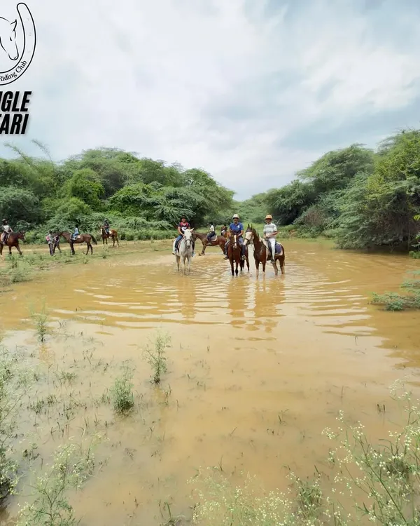 Experience the ultimate thrill with our 'Saddle & Splash' trail. Here, a group of riders navigates a rain-fed stream in the heart of the Aravallis, a perfect example of the unique horseback adventures we offer, especially during the monsoon season.