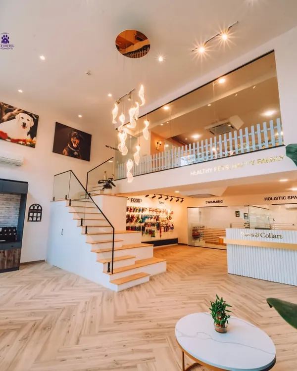We designed our space to be a complete ecosystem for your pet's well being. This wide-angle view of our HSR Layout facility shows our integrated approach, with our retail section, holistic spa, and upper-level pet hotel all visible, creating a welcoming and premium environment for every pet and parent.