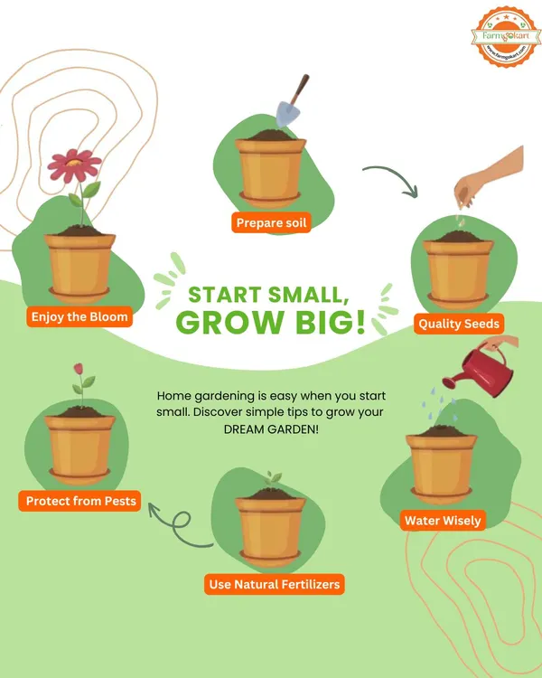 Starting small is the secret to success. This infographic illustrates the six key stages of growing a plant, from preparing the soil and planting quality seeds to protecting it from pests and enjoying the bloom.