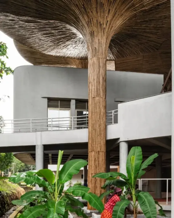 The bamboo parasol at the TAPMI Centre, seen here from below, is supported by a slender column that branches out, emulating the form of a tree. This structure is not just a roof but a piece of the landscape itself, integrated with the surrounding greenery.