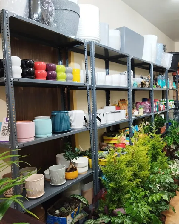 I believe a plant's home is just as important as the plant itself. Here are some of the shelves in my store, stocked with ceramic, metal, and plastic planters in all shapes and sizes.