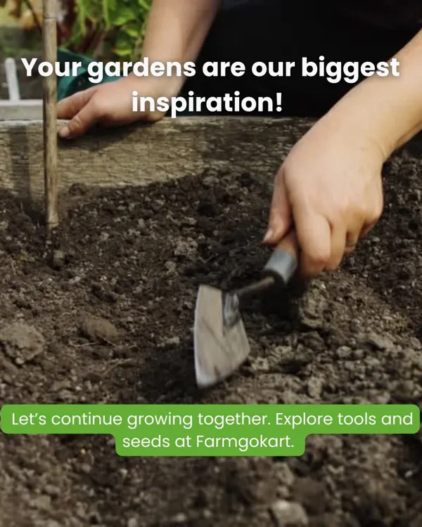 Your gardens are our biggest inspiration. Seeing you dig in the dirt and grow your own food motivates us to continue providing the best tools and seeds possible.