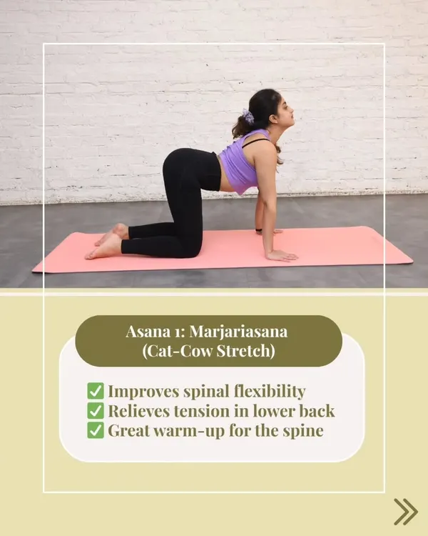 For a stiff and tired back, the gentle, flowing movement of Marjariasana, or the Cat-Cow stretch, is one of the best remedies. It improves spinal flexibility and relieves tension accumulated from long hours of sitting.