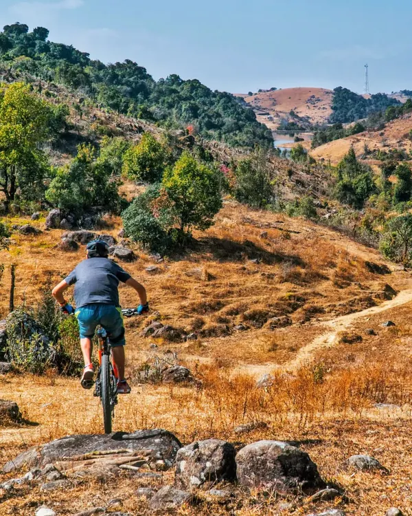 Our guide Kevi riding through the beautiful, raw trails of Meghalaya during a recce trip. The North-East has so much to offer for mountain bikers looking for something different.
