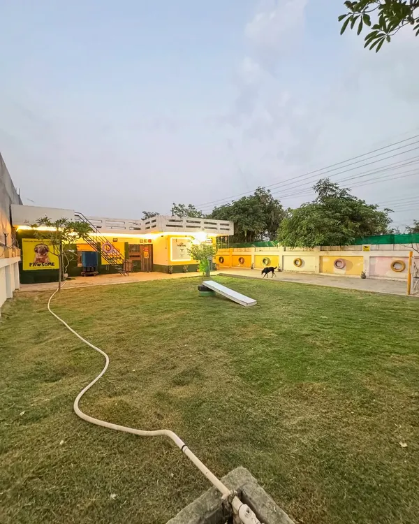 A wide view of our playground at dusk. The large grassy area is perfect for running, and you can see the tires and ramps we use for group enrichment activities.