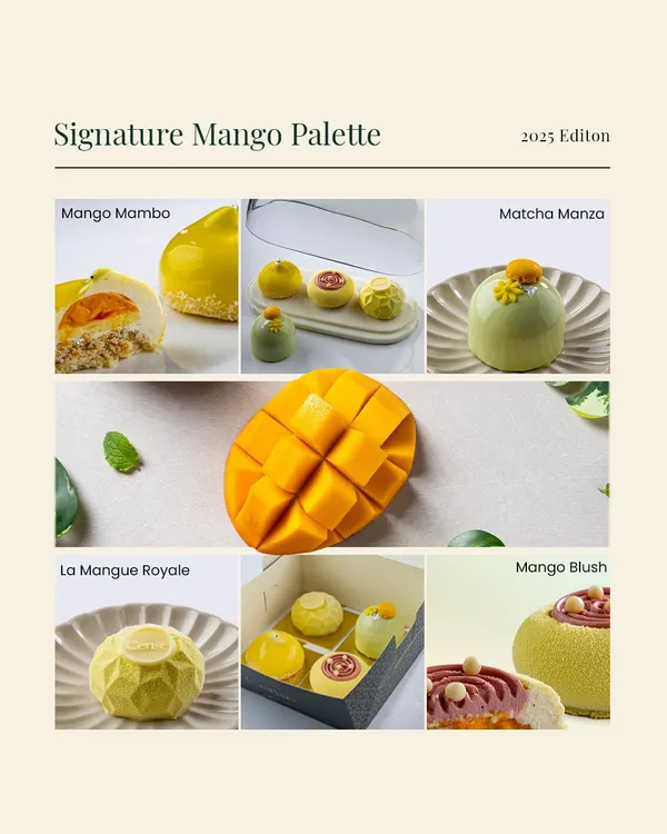 This is my Signature Mango Palette, a curated exploration of summer's golden fruit. It features four distinct mini entremets, from the raspberry-kissed Mango Blush to the earthy Mango Matcha, each showing a different facet of this incredible ingredient.