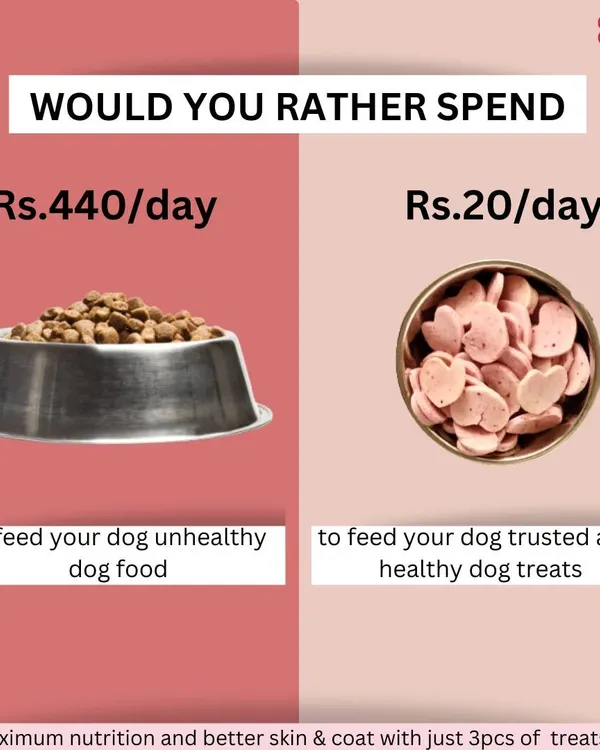 Would you rather spend a little on healthy, trusted treats or a lot on unhealthy commercial food? My treats provide maximum nutrition with real ingredients, helping to improve skin and coat for just a fraction of the cost.