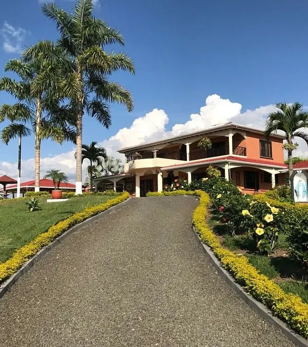 I transform outdoor spaces into beautiful, functional extensions of your home. This driveway, lined with lush greenery and elegant palms, creates a grand entrance and showcases the kind of high-quality residential landscaping I deliver.