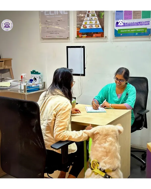 Every consultation begins with listening. Here, a pet parent discusses their Golden Retriever's health with our veterinarian, who is taking detailed notes to create a personalized care plan. We partner with you to make informed decisions about your pet's nutrition, wellness, and treatment.