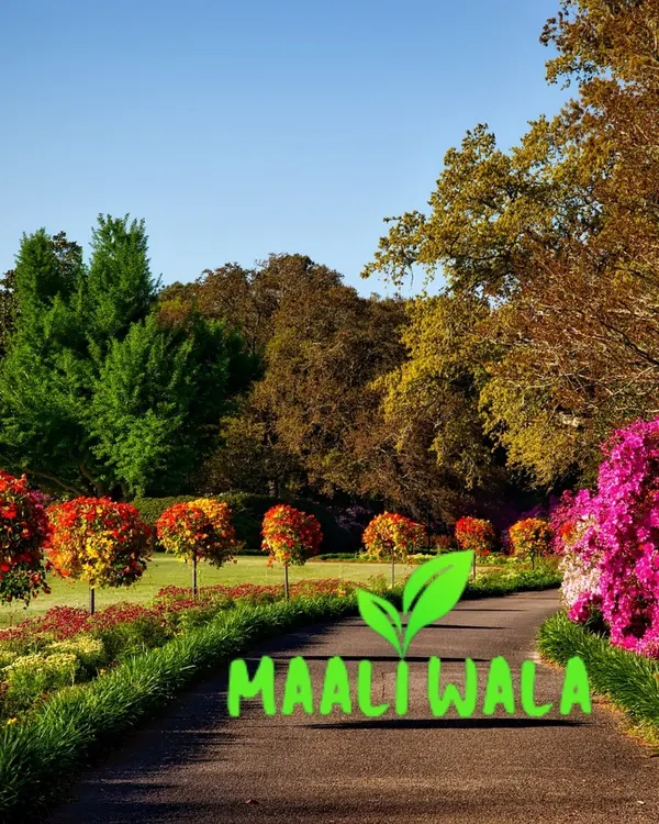 I design and install landscapes for large areas, including residential lawns and commercial properties. My service covers everything from ground preparation and turf installation to planting trees and flower beds.
