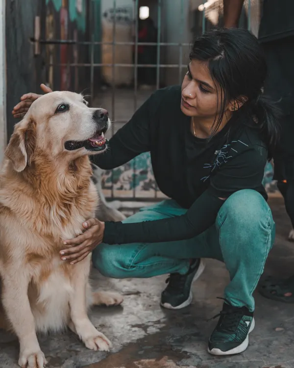 A quiet moment of connection. I make sure to spend one-on-one time with the dogs, giving them the comfort and reassurance they need to feel at home.