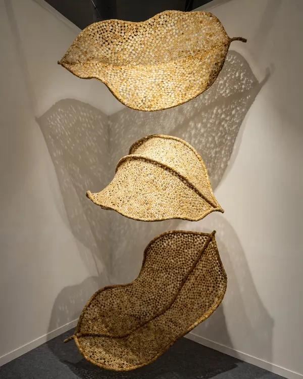 These three forms, part of my 'Biography' series, appear as delicate, floating leaves. They are designed to interact with light, casting intricate shadows that transform the space around them, telling a story of form, fragility, and the passage of time.