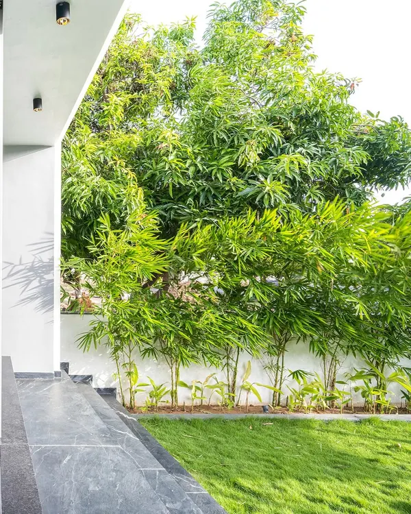 At the Tranquil Mango Haven, the landscape becomes an extension of the home rather than a backdrop. I planned the planting of bamboo and other native species to anchor every view from inside, creating a lush, green buffer that ensures privacy and a constant connection to nature.