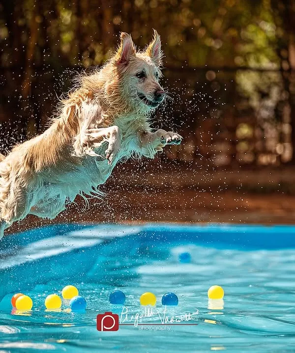 Capturing pure joy and energy is what I live for. This shot of Ginie mid-flight into a pool shows my ability to freeze the perfect moment during on-location action shoots.