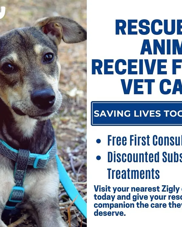 We believe every rescued animal deserves the best start. That's why we offer a free first vet consultation for all rescued pets, along with discounted subsequent treatments. Let's save lives together.