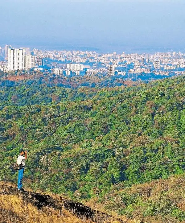This is the stark, beautiful contrast of Mumbai's Sanjay Gandhi National Park. I stand on a ridge overlooking the dense forest, with the sprawling city in the background. It is a powerful reminder of why we must protect these urban wildernesses.