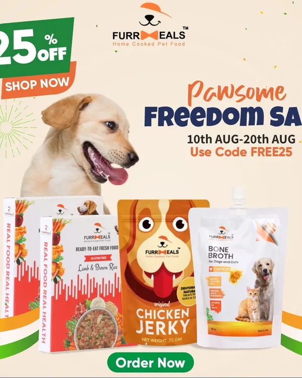 The Pawsome Freedom Sale is here. To celebrate, I'm offering a special discount on our entire range. It's the perfect time to stock up on healthy meals and treats for your doggo.