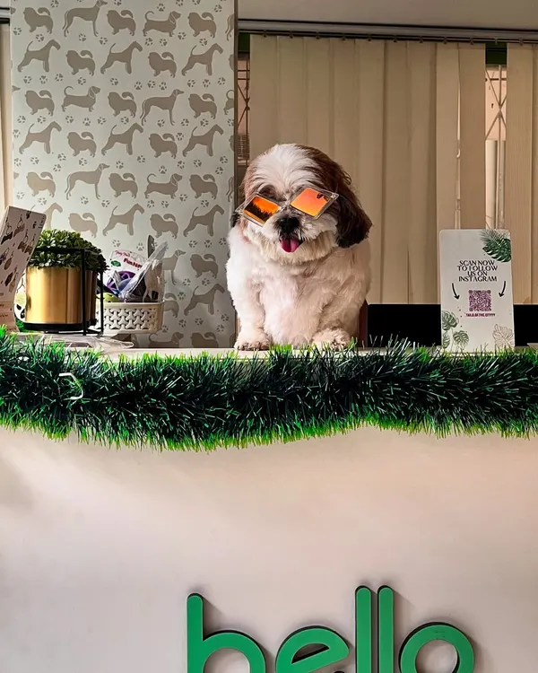 We are paw-sitively thrilled to welcome our new front desk superstar! She’s got a nose for customer service and an eye for style, ready to greet you at our Indiranagar pet salon.