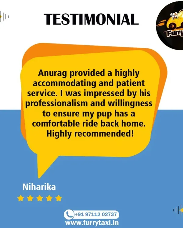 Thank you, Niharika, for your kind words. Knowing I provided a professional and patient service for your pup makes all the hard work worth it.