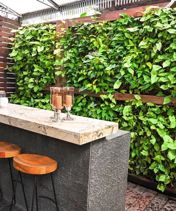 A closer look at the residential villa's bar area, highlighting the texture and density of the living wall. The wood framing adds a warm, natural touch, seamlessly blending the installation with the outdoor furniture and deck.