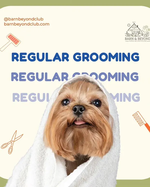 We believe every grooming session should feel like a spa day. This little one is all wrapped up and feeling cozy after a gentle, refreshing bath. This is the first step to getting your fur baby looking and feeling absolutely pawfect!