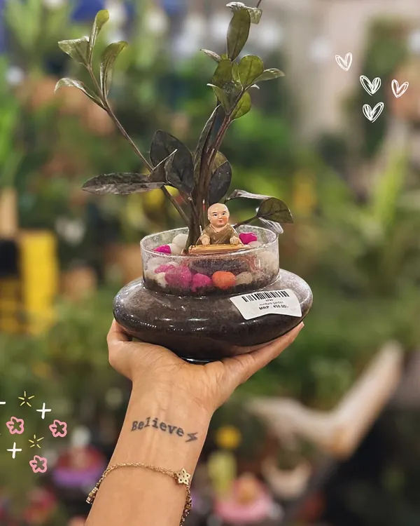 A unique terrarium featuring a ZZ plant and a small monk figurine. The two-tiered glass planter creates an interesting visual effect.