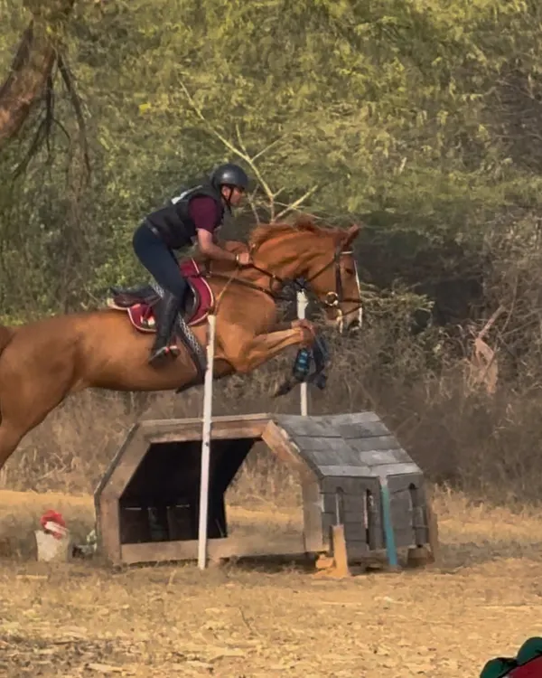 A rider and horse in perfect form over a cross-country 'house' jump. Our eventing training prepares combinations for the challenges of FEI-level courses.