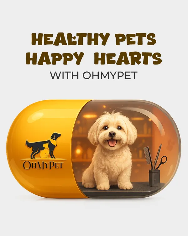 Healthy pets and happy hearts are what we're all about. This is our promise to you, delivered through grooming essentials that keep your furry friends feeling their absolute best.