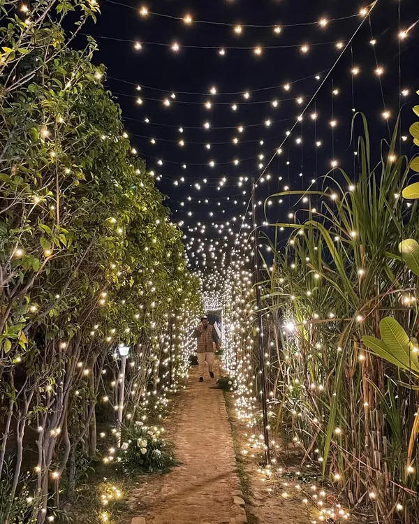 This magical tunnel of fairy lights is one of my favorite features at the farm. It creates an unforgettable entrance for evening events like sundowners and dinner parties.