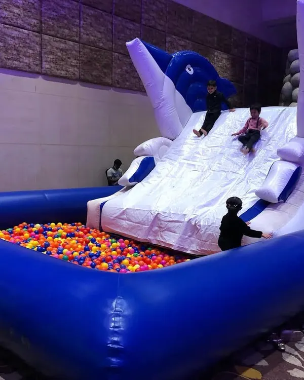 Our inflatable Dolphin Slide with an integrated ball pit is a major attraction for any event. Children can safely climb the inflatable structure and slide down into a large, soft landing area filled with thousands of colorful balls.