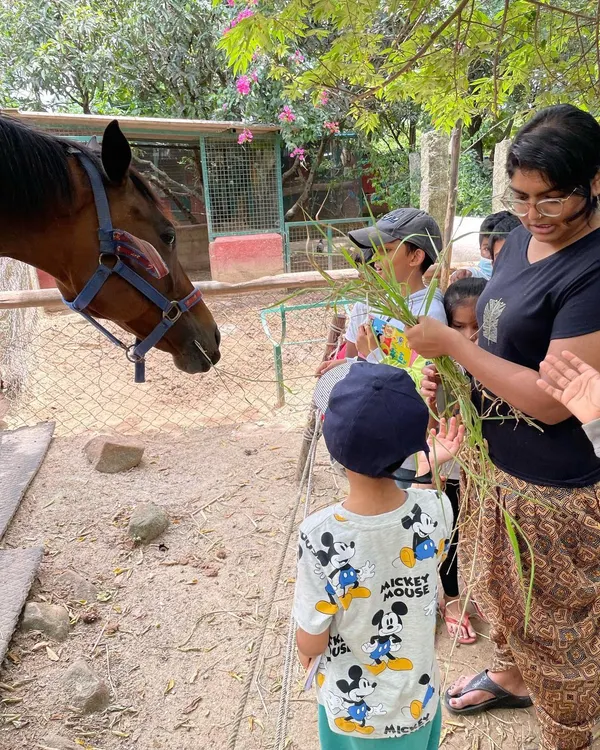 Direct interaction with animals fosters empathy and respect for life. During our field trip to Prani, The Pet Sanctuary, children had the opportunity to feed a horse, learning about its diet and gentle nature firsthand.