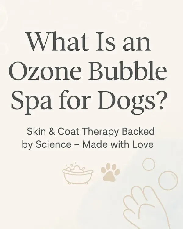 This is the core of my therapeutic services: the Ozone Bubble Spa. It's more than a bath; it's science-backed skin and coat therapy delivered with a gentle touch.