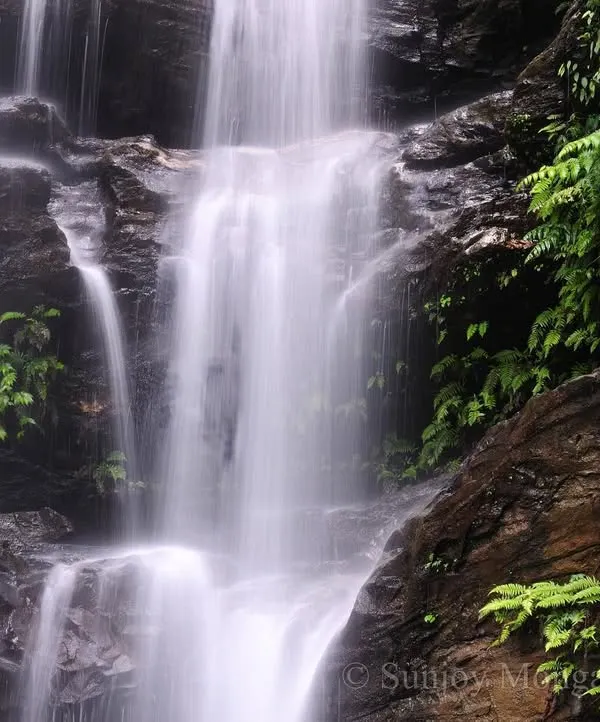Jal. Paani. Water. My favorite entity. This waterfall, with its soft, flowing form, is a reminder of water's power. Softer than anything you can imagine, yet it moves mountains and chisels valleys. We must respect it.