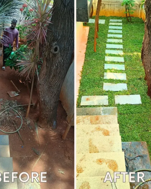 A side-by-side comparison showing the transformation of a cluttered staircase area into a clean, green walkway. I replaced the dirt patch with lush grass and modern stone pavers for a functional and beautiful path.