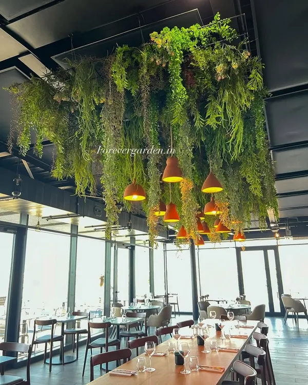 This breathtaking ceiling installation in a restaurant uses a dense mix of hanging greenery to create a floating garden above the dining area. The warm pendant lights are beautifully integrated into the design.
