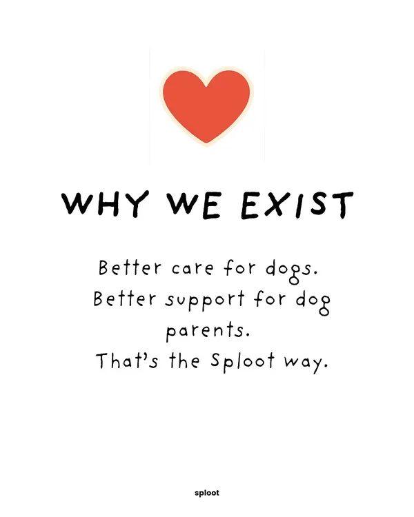 Why do we exist? For better care for dogs, and better support for dog parents. That's the Sploot way, plain and simple.