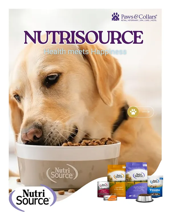 We believe health meets happiness in every bowl. That's why we've curated premium nutrition like NutriSource, packed with the wholesome ingredients your pet needs to thrive. A healthy pet is the foundation of a happy family.