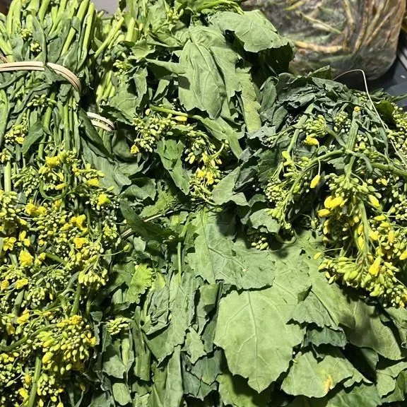 Fresh mustard greens, complete with leaves, stems, and yellow flowers. Every part is edible and contributes to the pungent, peppery flavor of the dish.