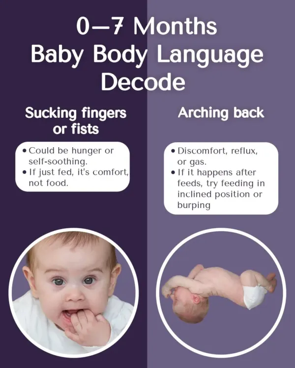Let's decode your baby's body language from 0-7 months. Understanding cues like sucking fingers or arching their back can help you respond to their needs with more confidence.