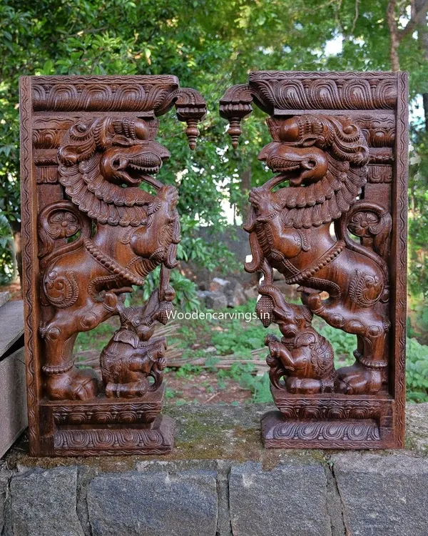 A pair of magnificent 36-inch Yaali brackets, carved in a rich wax brown finish. These mythical creatures, depicted subduing elephants, are powerful symbols often used in South Indian temple architecture.