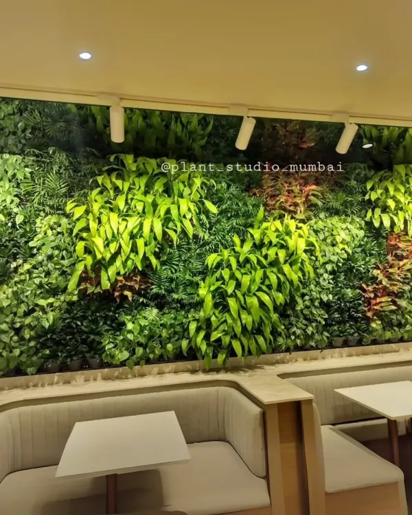 This lush, vibrant vertical garden transforms a commercial dining area into a refreshing oasis. I use a diverse mix of plants to create texture and depth, making it a living piece of art that also improves air quality.