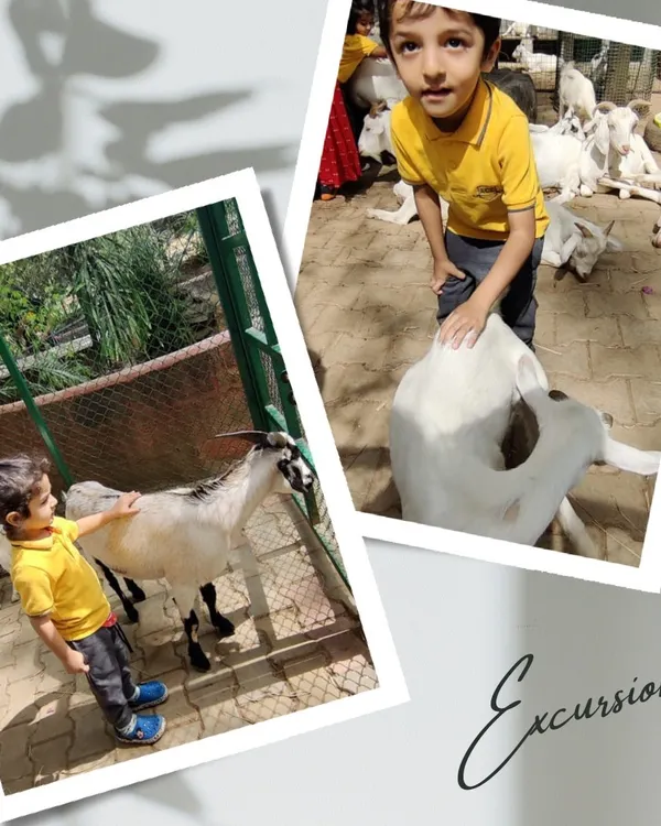 A gentle interaction with a goat at the pet sanctuary. These excursions help children learn empathy and how to be gentle and respectful towards animals.