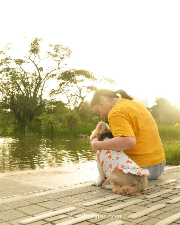 A woman and her dog sit together by the water's edge at sunset in Singapore, sharing a quiet, peaceful moment of connection.