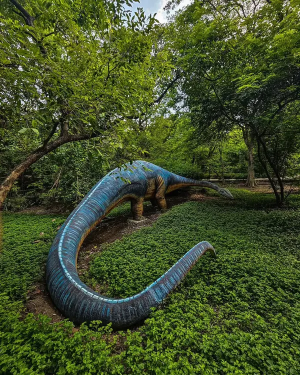 A dinosaur statue reclaimed by nature, shot on a Google Pixel. This image is a fun blend of human creation and natural beauty, highlighting the power of mobile photography.
