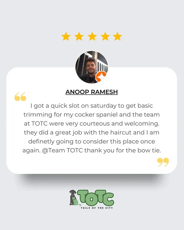Thank you, Anoop, for your wonderful review! We're so glad you were happy with the haircut for your cocker spaniel and that our team made you feel welcome.