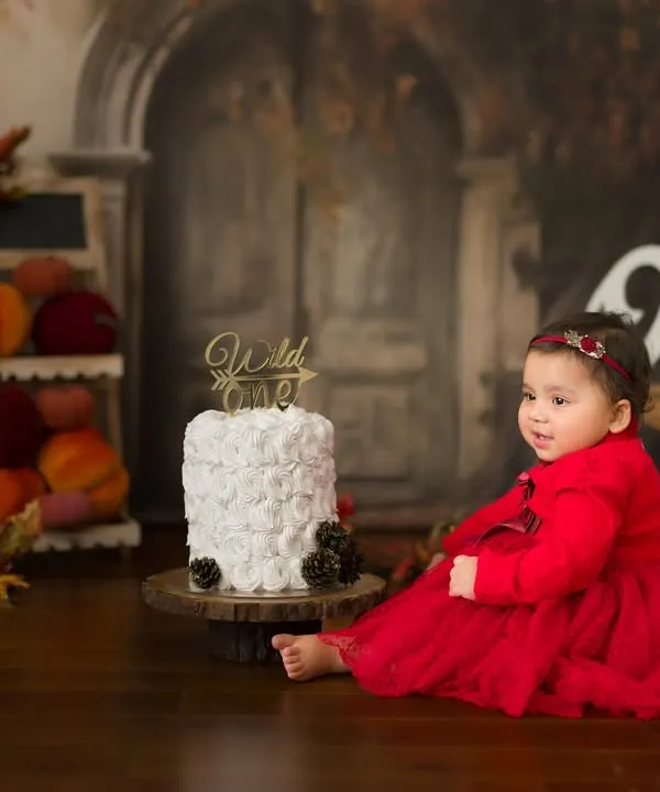 Wild and One! This little girl in a stunning red dress sits beside her first birthday cake in a rustic, autumn-themed setup. A beautiful portrait before the cake smash begins.
