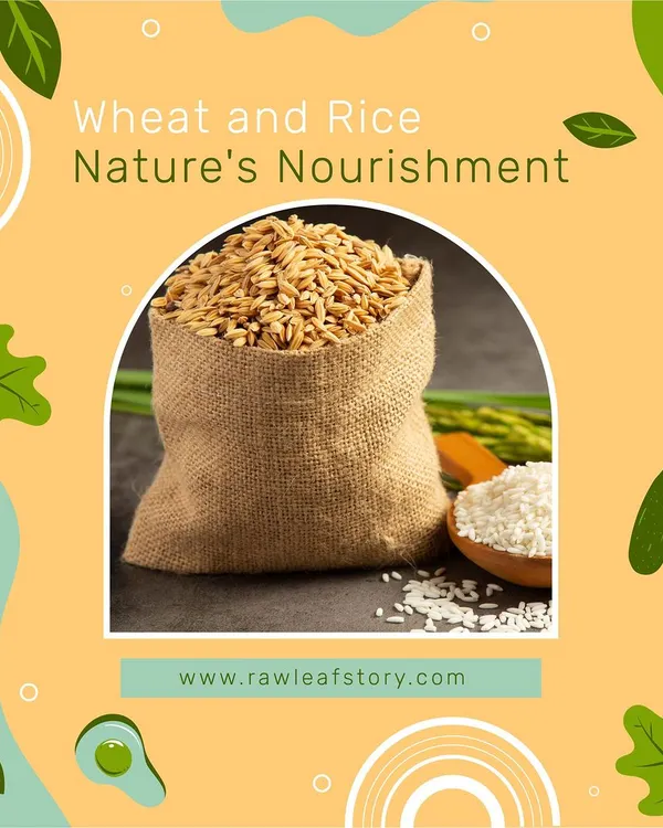 We provide fundamental pantry staples like organic wheat and rice. This burlap sack is filled with whole wheat grains, sourced and delivered to ensure purity and nourishment.