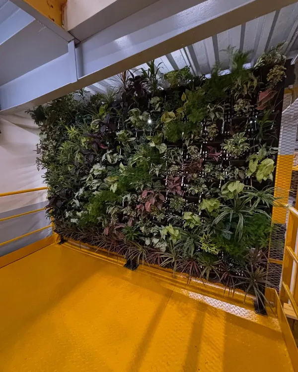 We designed and installed this expansive vertical garden for the Amazon warehouse in Delhi. This living wall not only transforms the industrial space but also actively improves indoor air quality, creating a healthier and more vibrant environment for everyone.