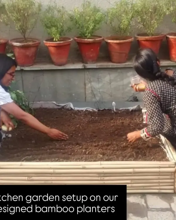 A throwback to 2016 at our very first farm. This is where it all began, with a small group of us getting our hands in the soil and sowing the seeds for what Edible Routes would become.