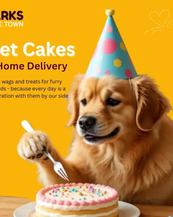 A happy dog with a party hat is the best reward. I offer home delivery for all my pet cakes, so you can focus on the celebration while I handle the baking.